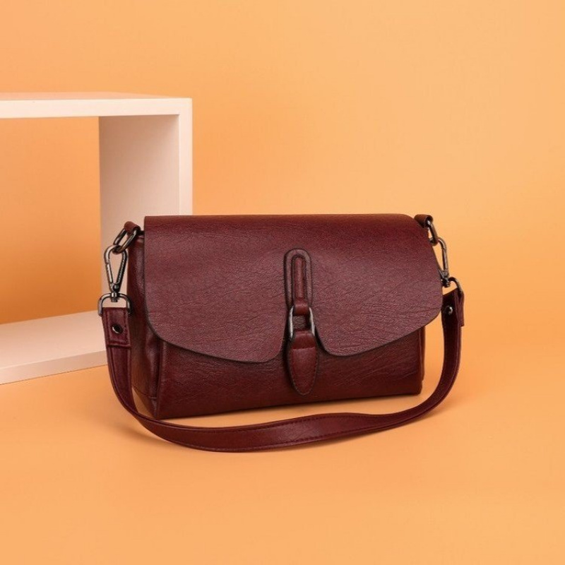 Famous Designer Elegant Crossb – Luxury Bags Classy recenzja i cena